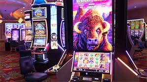 bet54 bet54